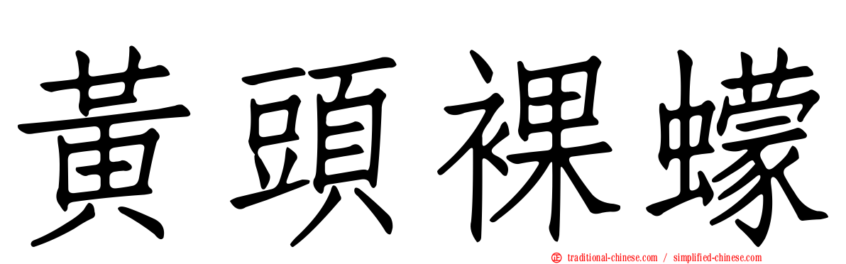 黃頭裸蠓