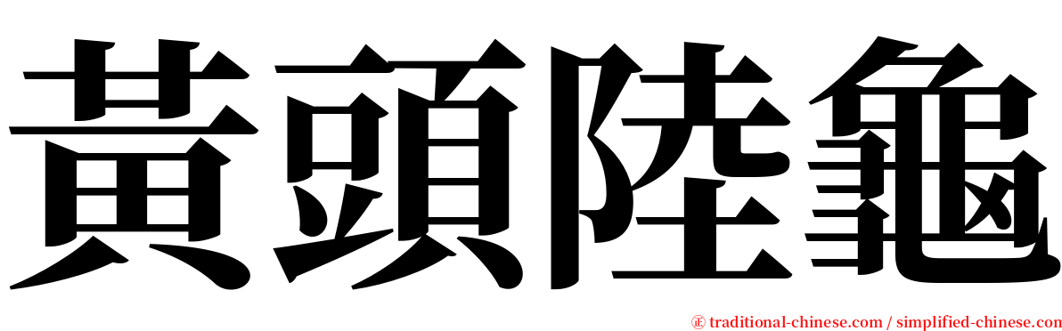 黃頭陸龜 serif font