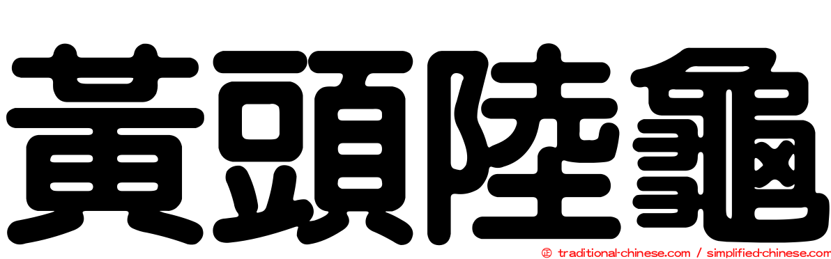 黃頭陸龜