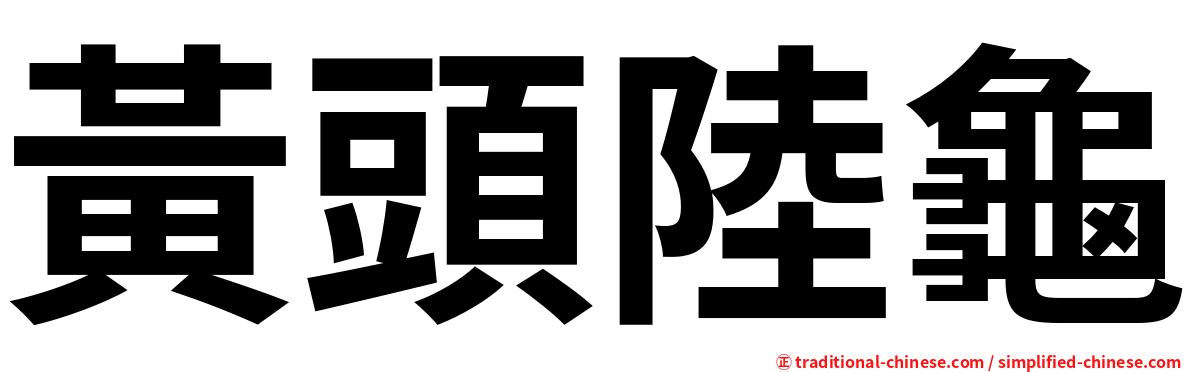 黃頭陸龜