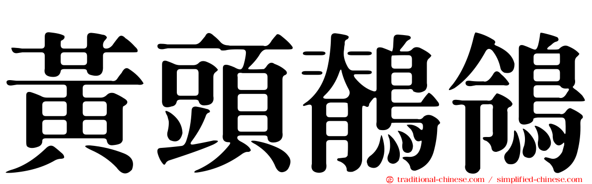 黃頭鶺鴒