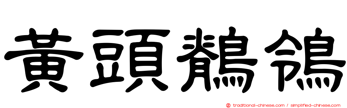 黃頭鶺鴒