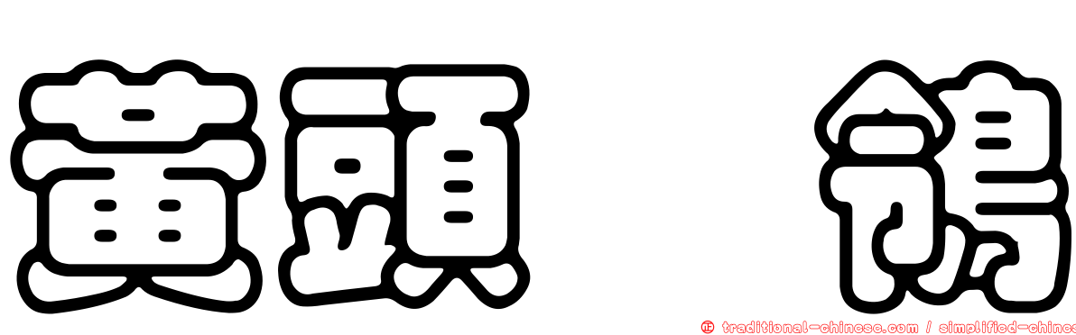 黃頭鶺鴒