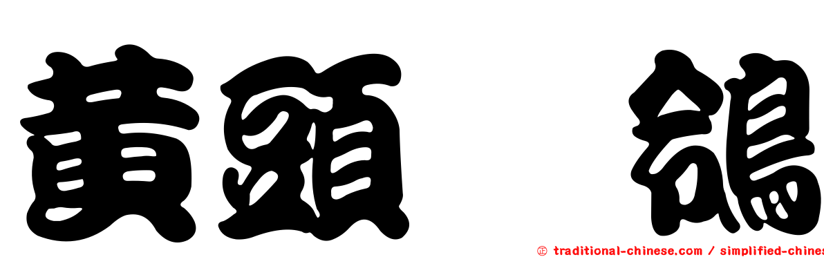 黃頭鶺鴒