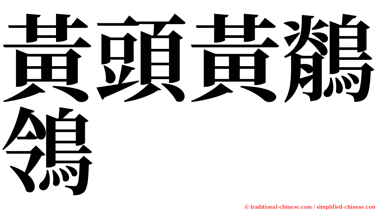 黃頭黃鶺鴒 serif font