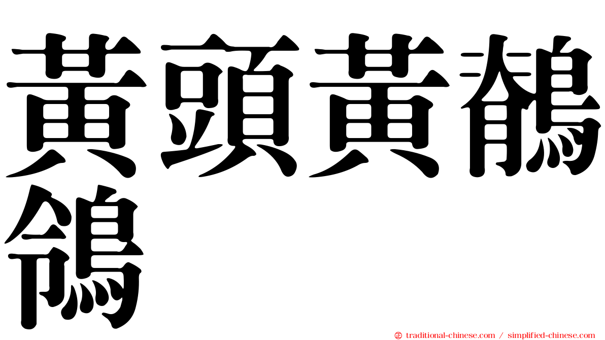 黃頭黃鶺鴒