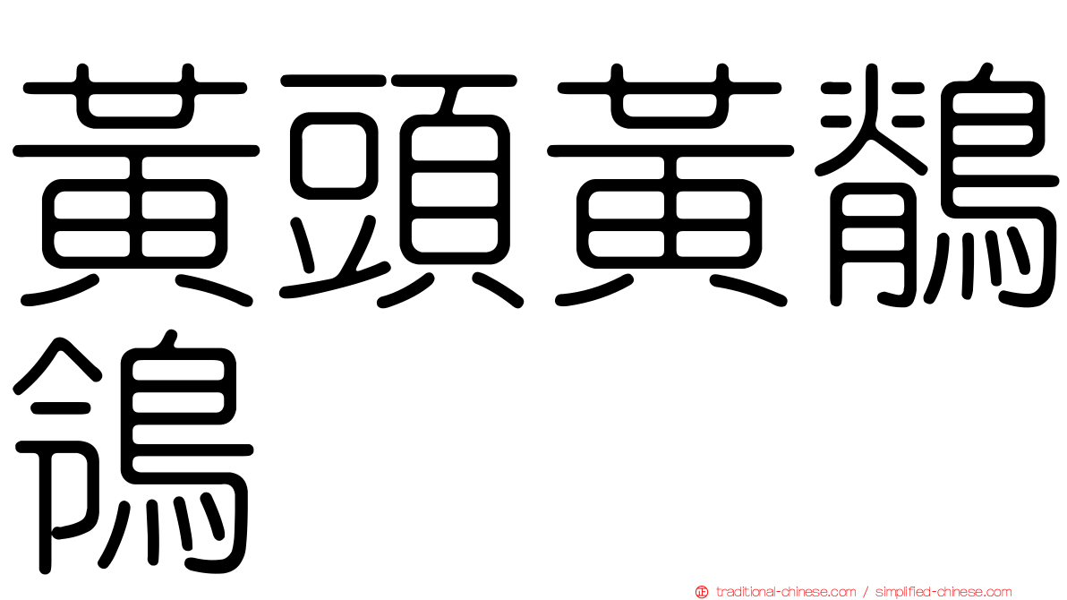 黃頭黃鶺鴒