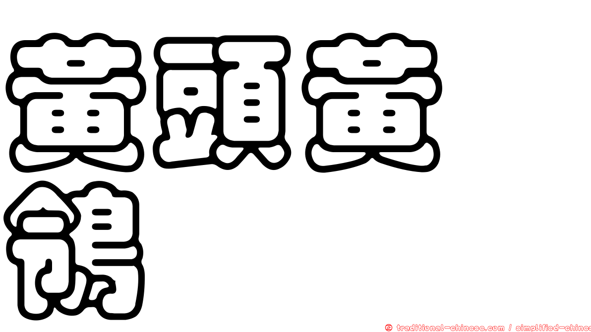 黃頭黃鶺鴒