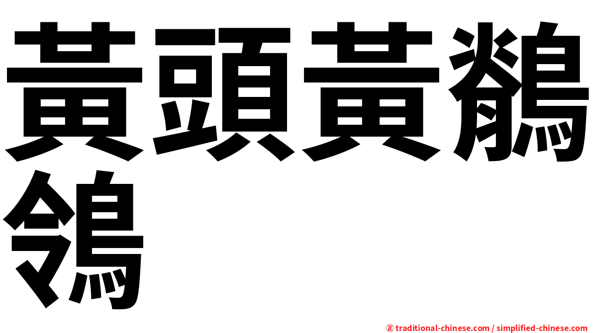 黃頭黃鶺鴒