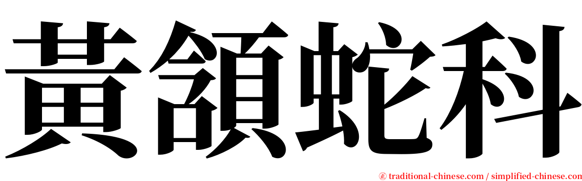 黃頷蛇科 serif font