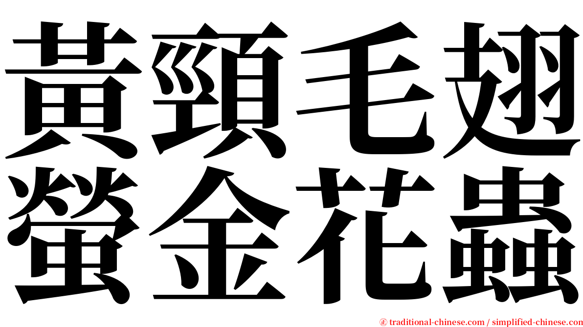 黃頸毛翅螢金花蟲 serif font