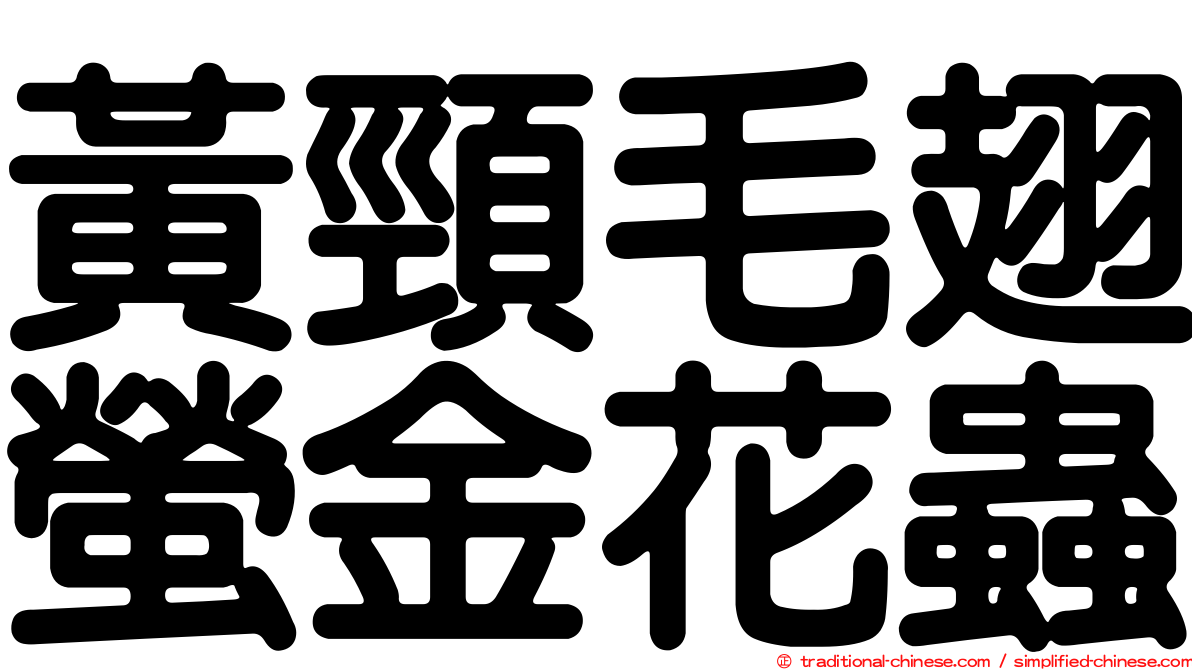 黃頸毛翅螢金花蟲