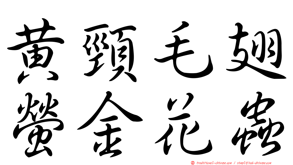 黃頸毛翅螢金花蟲