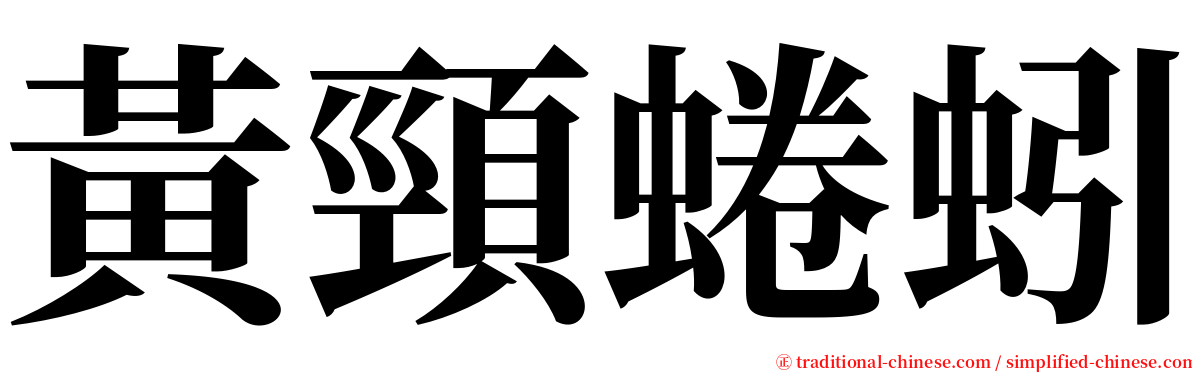 黃頸蜷蚓 serif font