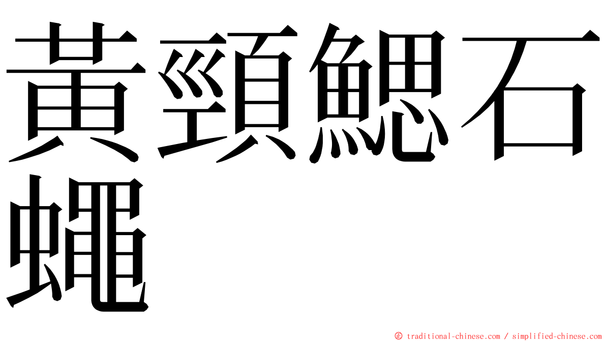 黃頸鰓石蠅 ming font