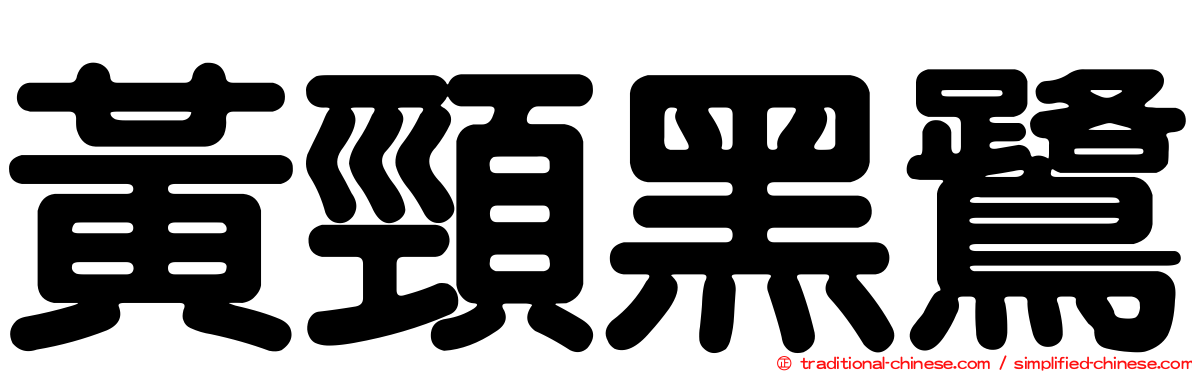 黃頸黑鷺