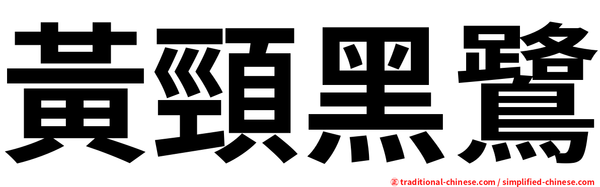 黃頸黑鷺