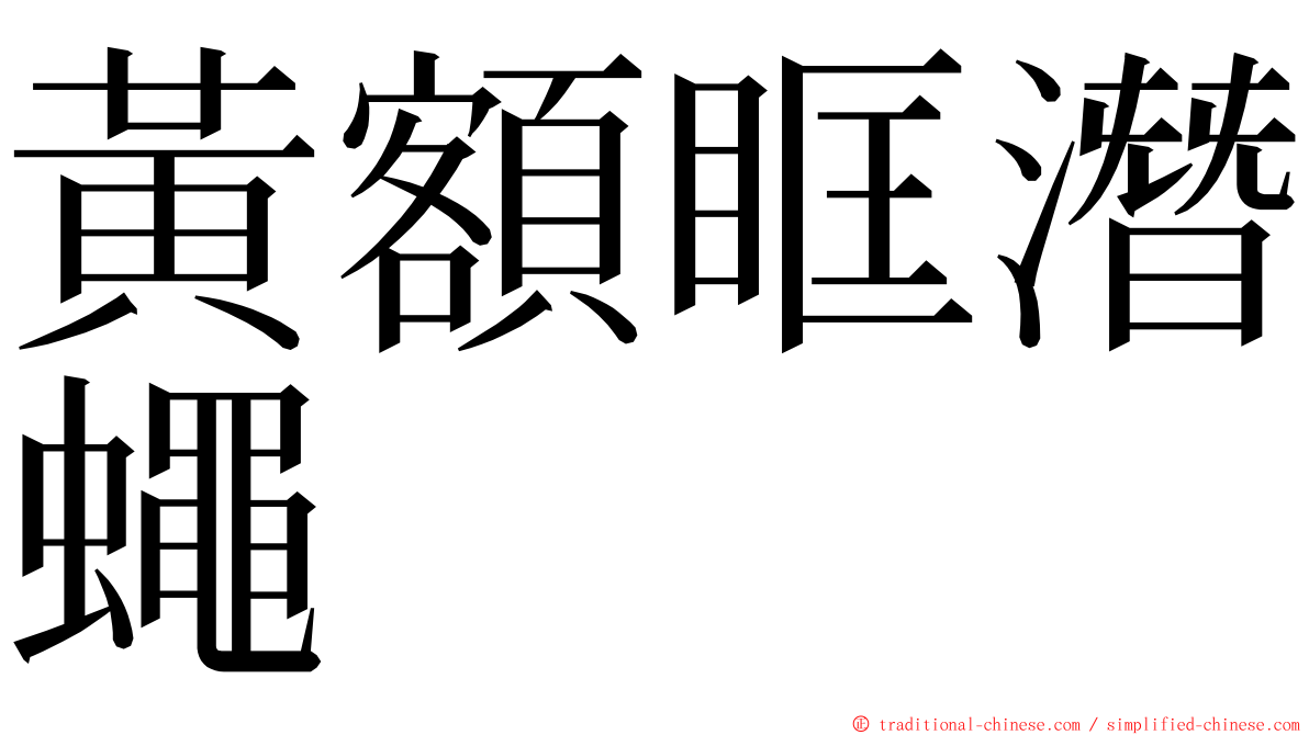 黃額眶潛蠅 ming font