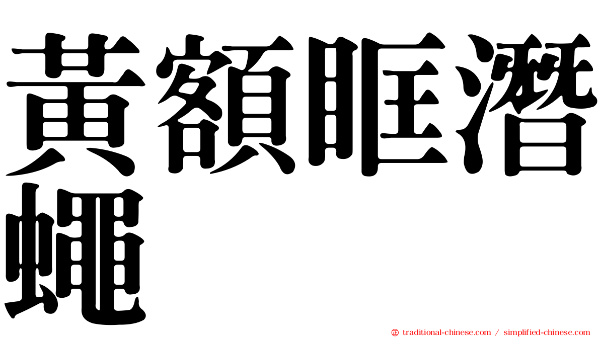 黃額眶潛蠅