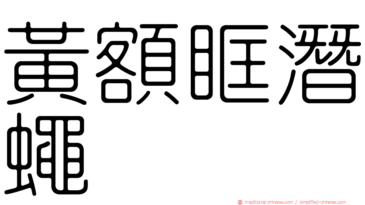 黃額眶潛蠅