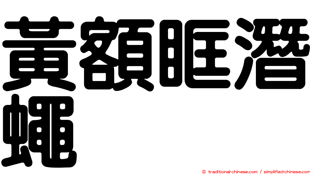 黃額眶潛蠅