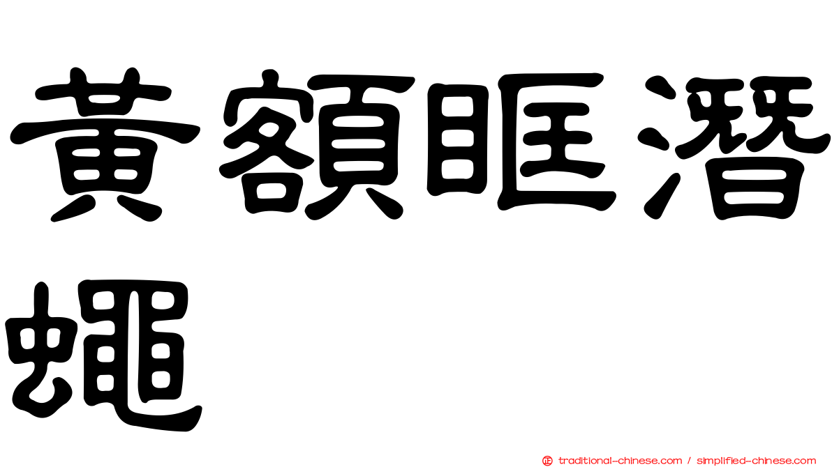 黃額眶潛蠅