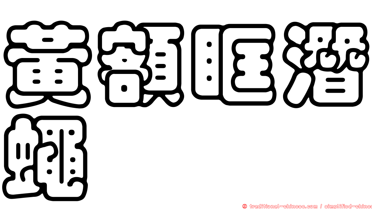 黃額眶潛蠅