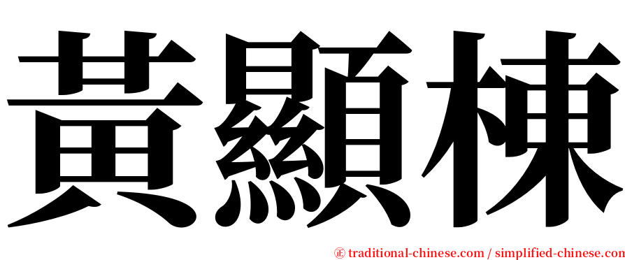 黃顯棟 serif font