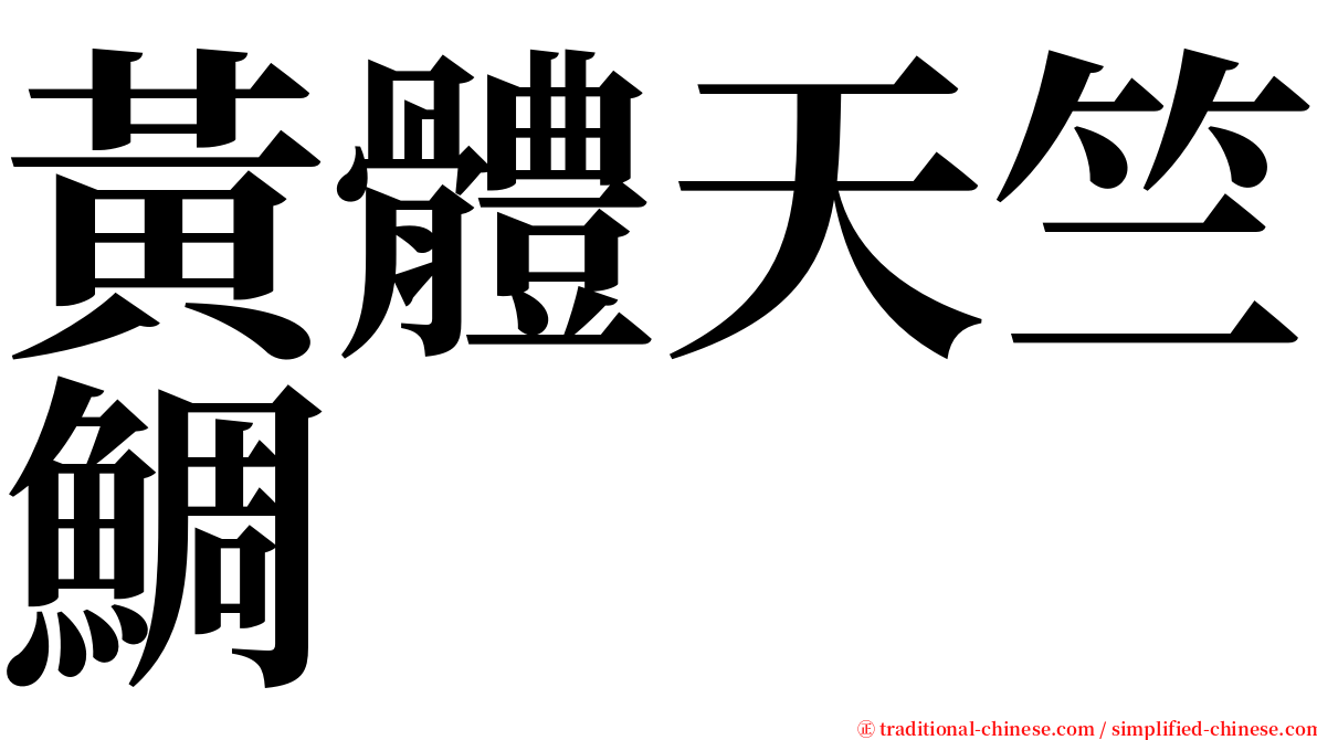 黃體天竺鯛 serif font