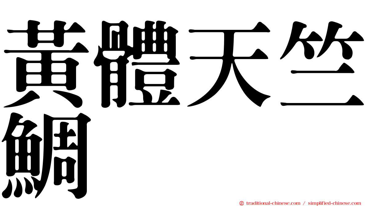 黃體天竺鯛