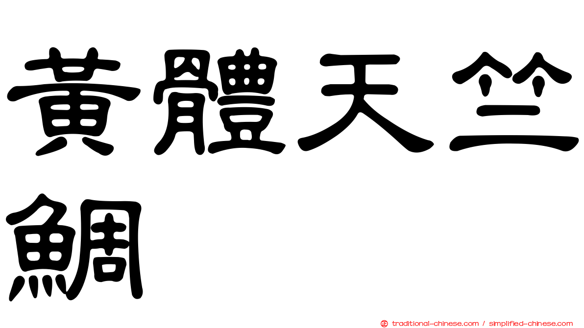 黃體天竺鯛