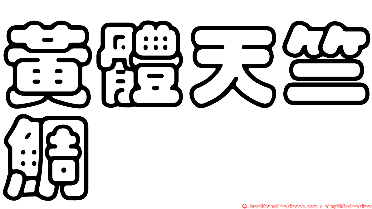 黃體天竺鯛