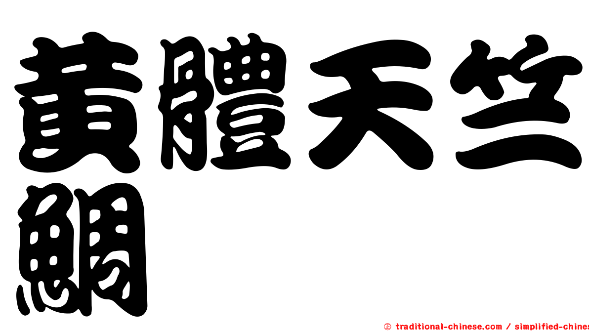 黃體天竺鯛