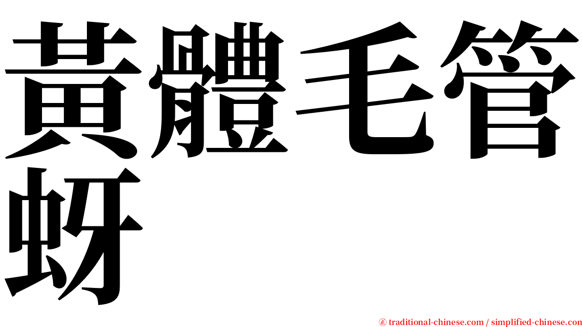 黃體毛管蚜 serif font