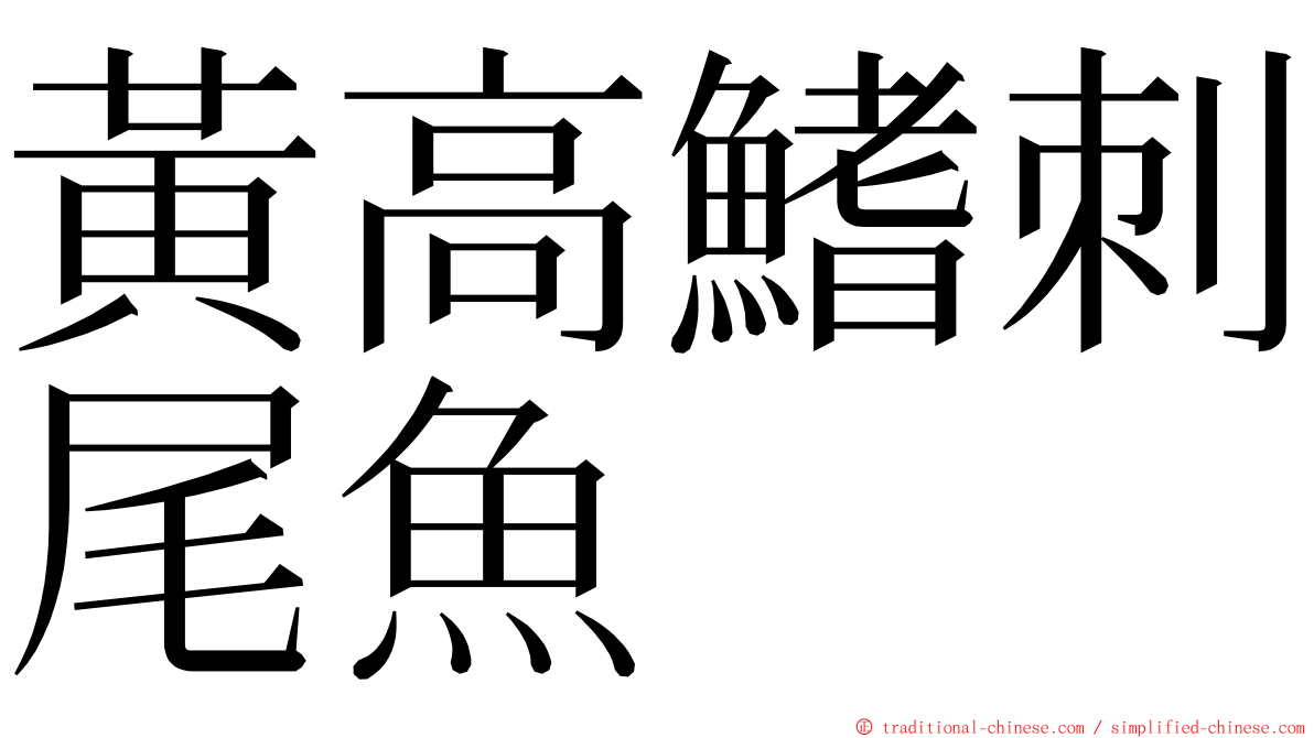 黃高鰭刺尾魚 ming font