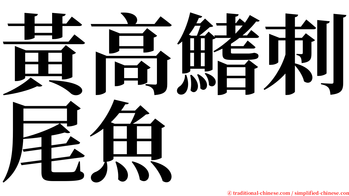 黃高鰭刺尾魚 serif font