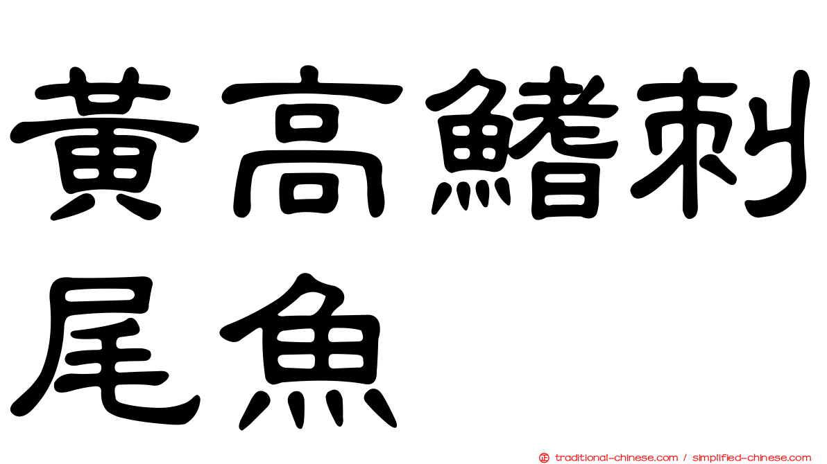 黃高鰭刺尾魚