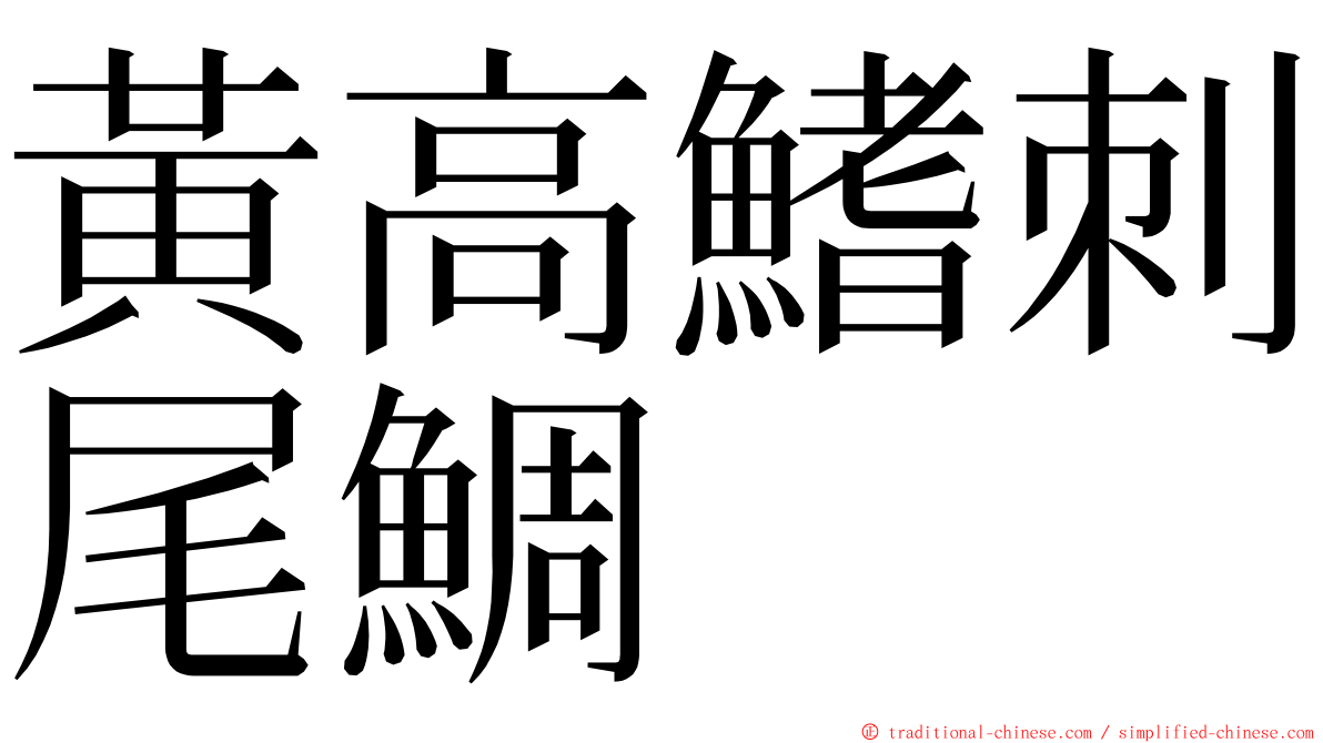 黃高鰭刺尾鯛 ming font