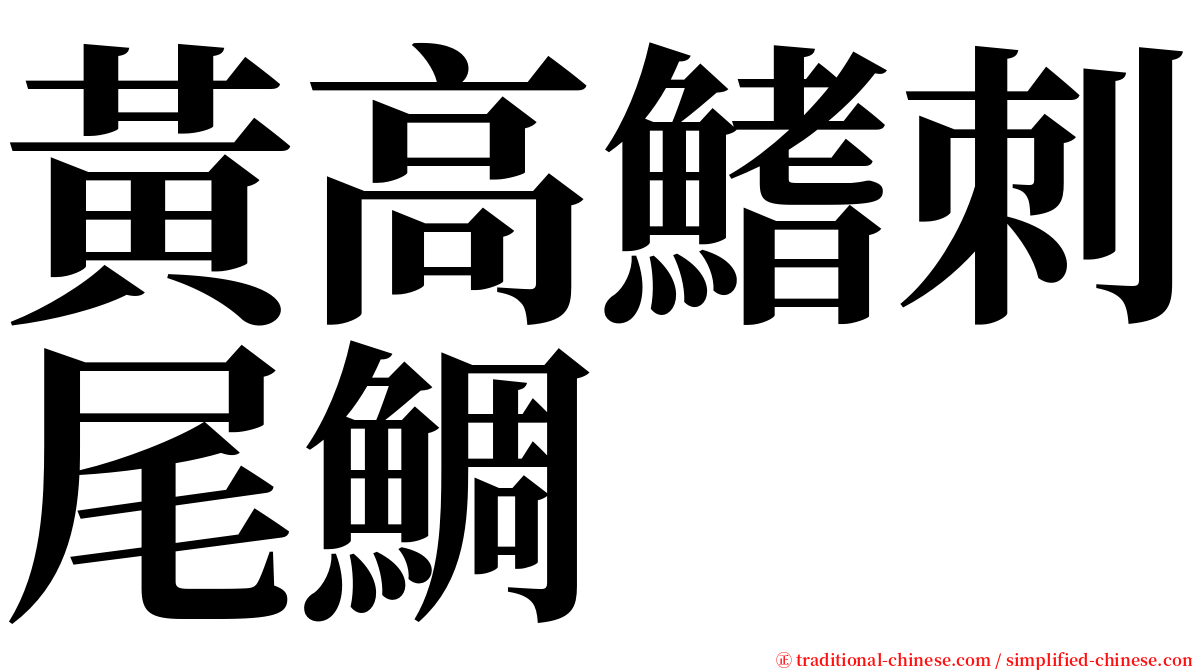 黃高鰭刺尾鯛 serif font