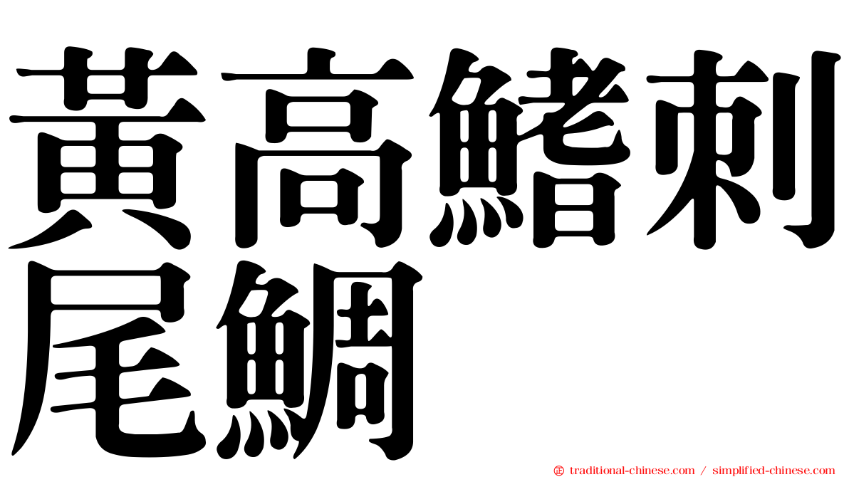 黃高鰭刺尾鯛