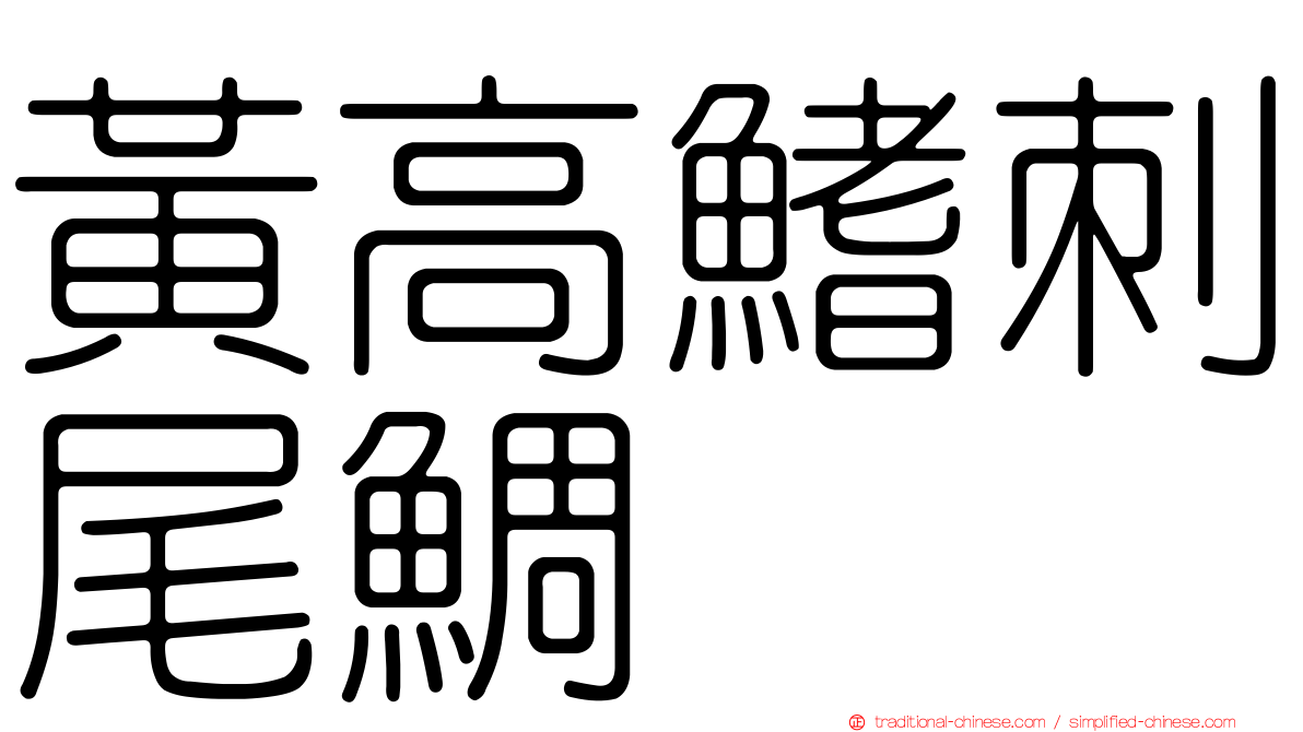 黃高鰭刺尾鯛