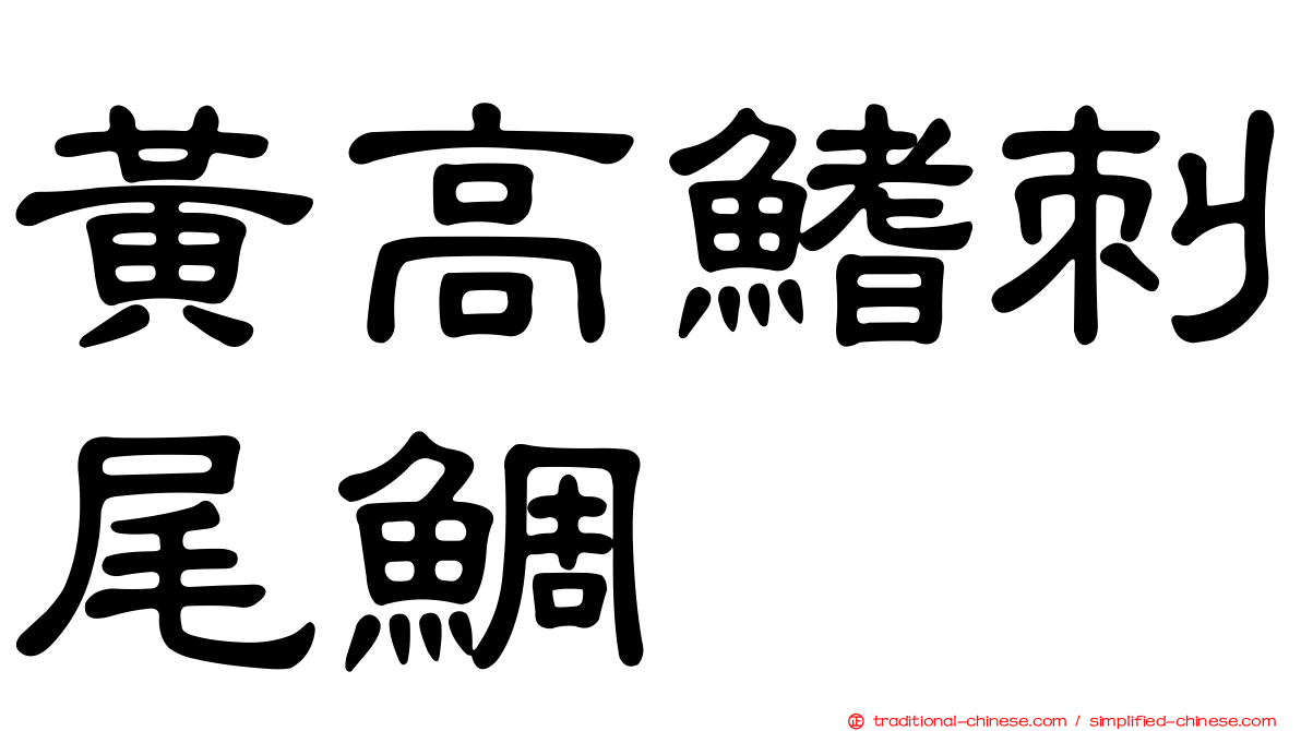 黃高鰭刺尾鯛