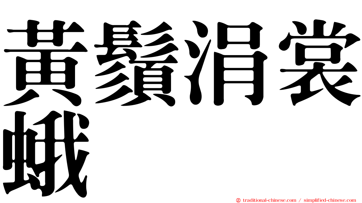 黃鬚涓裳蛾