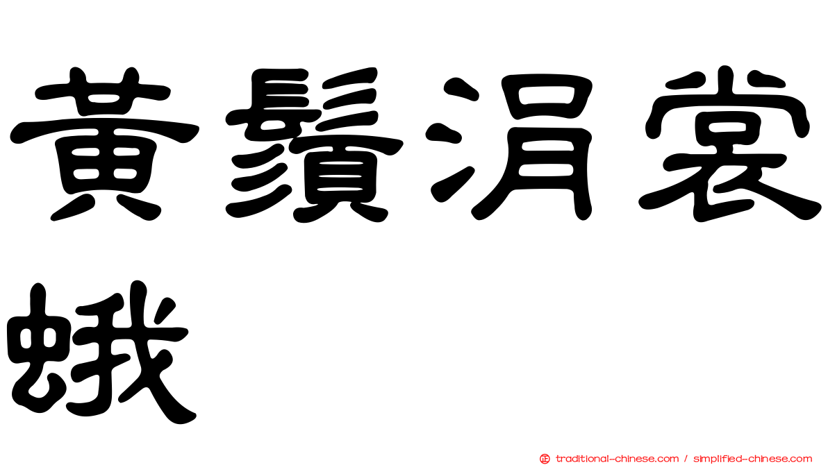 黃鬚涓裳蛾