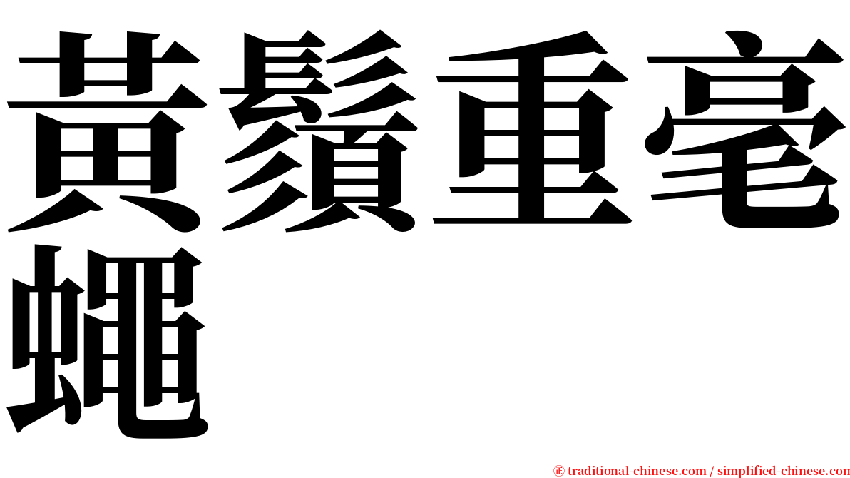 黃鬚重毫蠅 serif font