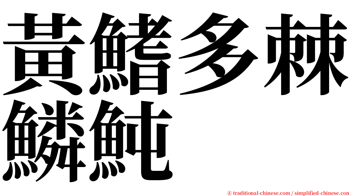 黃鰭多棘鱗魨 serif font