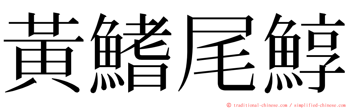黃鰭尾鯙 ming font
