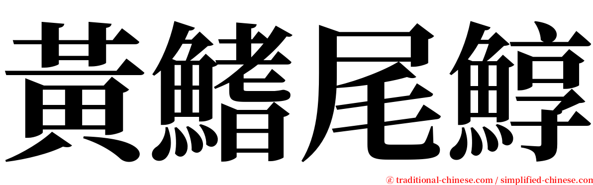黃鰭尾鯙 serif font