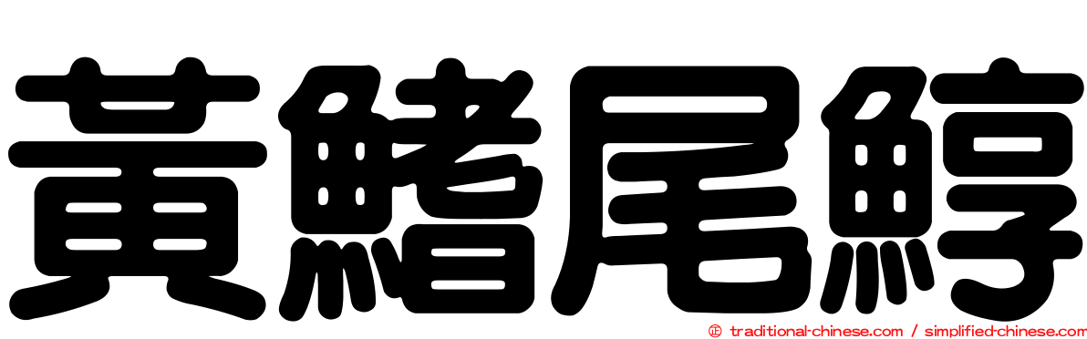 黃鰭尾鯙