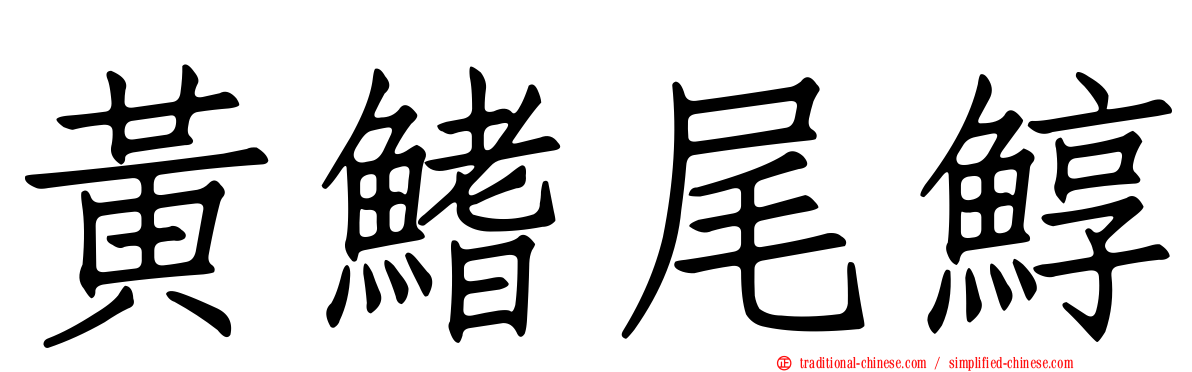 黃鰭尾鯙
